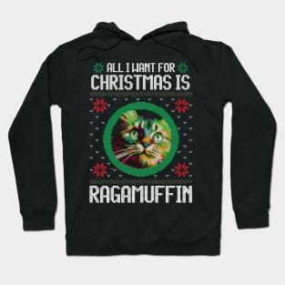 All I Want for Christmas is Ragamuffin - Christmas Gift for Cat Lover Hoodie